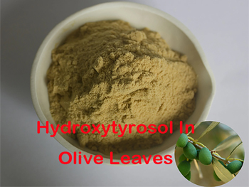 How Much Hydroxytyrosol Is In Olive Leaves?